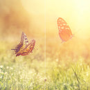 Farewell Print Premium Roll-Up 100 DUO-4