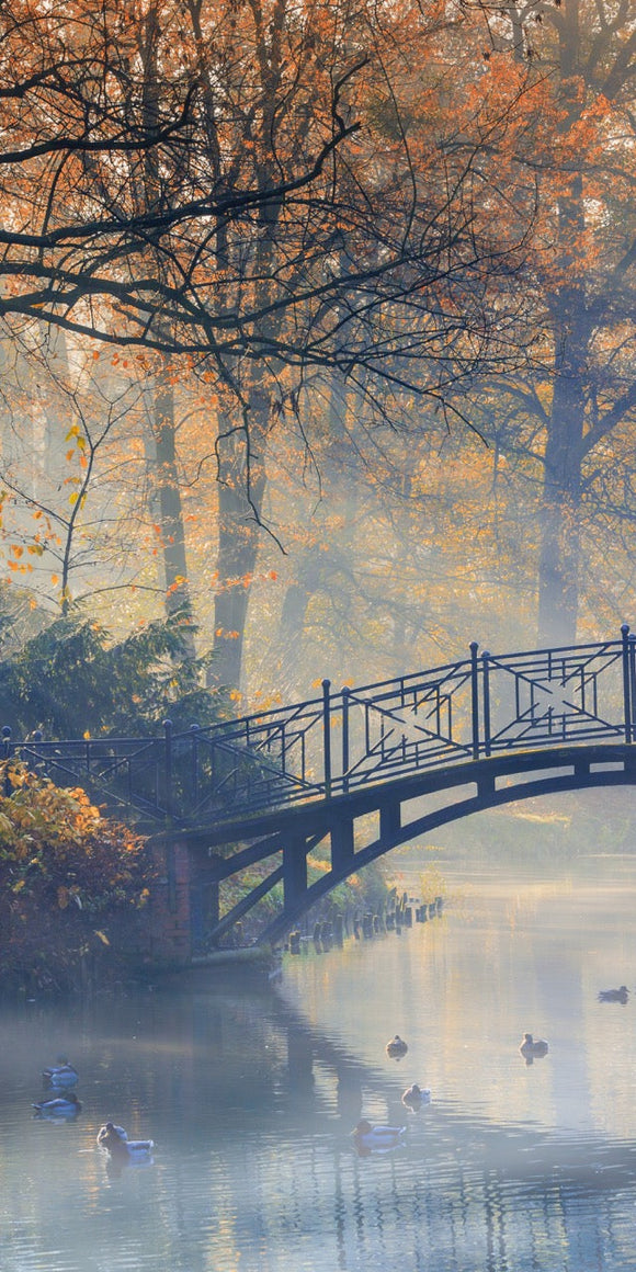 Farewell Print Premium Roll-Up 100 UNO