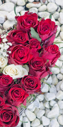 Farewell Print Premium Roll-Up 100 UNO-11