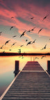 Steg ins Meer
