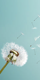 Farewell Print Premium Roll-Up 100 UNO-14