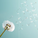 Farewell Print Premium Roll-Up 100 DUO-17