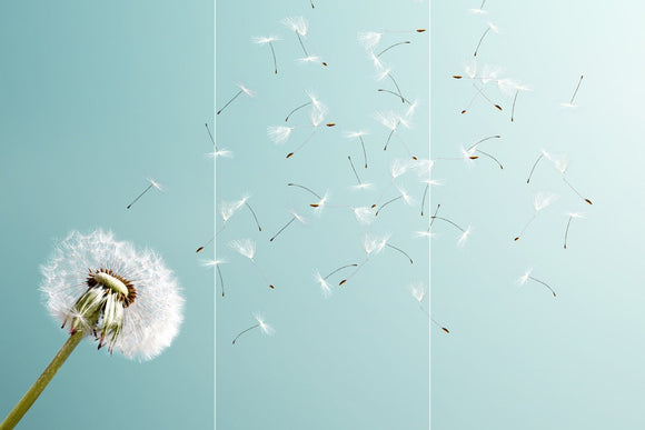 Farewell Print Premium Roll-Up 100 TRIO