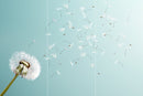 Farewell Print Premium Roll-Up 100 TRIO-22