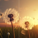 Farewell Print Premium Roll-Up 100 DUO-10