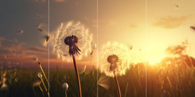 Farewell Print Premium Roll-Up 100 QUATTRO