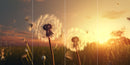 Farewell Print Premium Roll-Up 100 QUATTRO-1