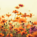 Farewell Print Premium Roll-Up 100 DUO-11