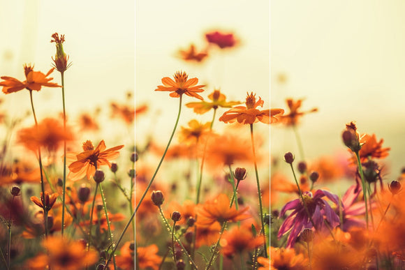 Farewell Print Premium Roll-Up 100 TRIO