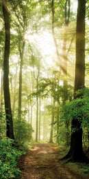 Farewell Print Premium Roll-Up 100 UNO-18