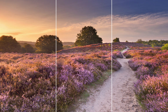 Farewell Print Paravent