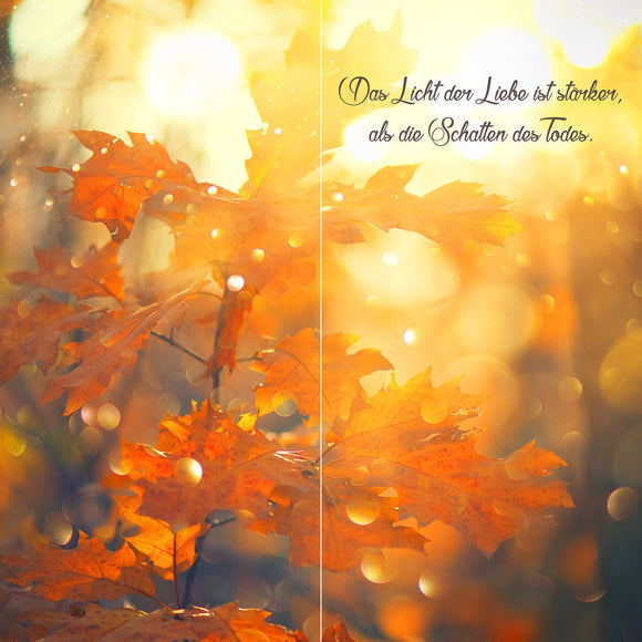 Farewell Print Premium Roll-Up 100 DUO