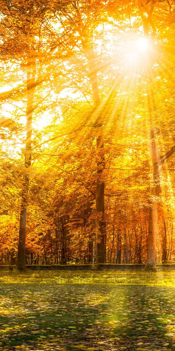 Farewell Print Premium Roll-Up 100 UNO