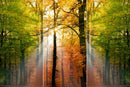 Farewell Print Premium Roll-Up 100 TRIO-26