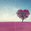 Farewell Print Premium Roll-Up 100 DUO-22