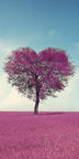 Herzbaum