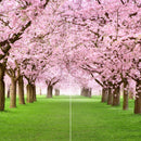Farewell Print Premium Roll-Up 100 DUO-23