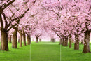 Farewell Print Premium Roll-Up 100 TRIO-29