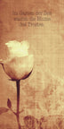 Rose Antique