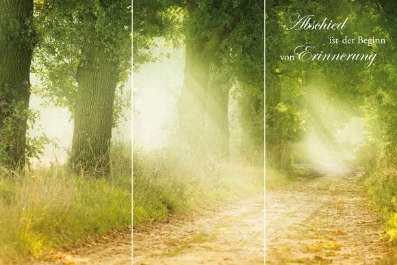 Farewell Print Premium Roll-Up 100 TRIO