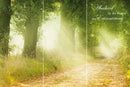 Farewell Print Premium Roll-Up 100 TRIO-30