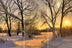 Sonnenuntergang im Winter TRIO