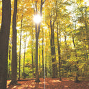 Farewell Print Premium Roll-Up 100 DUO-20