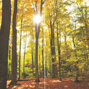Farewell Print Premium Roll-Up 100 DUO-27