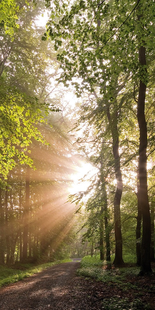 Farewell Print Premium Roll-Up 100 UNO