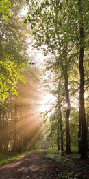 Farewell Print Premium Roll-Up 100 UNO-43