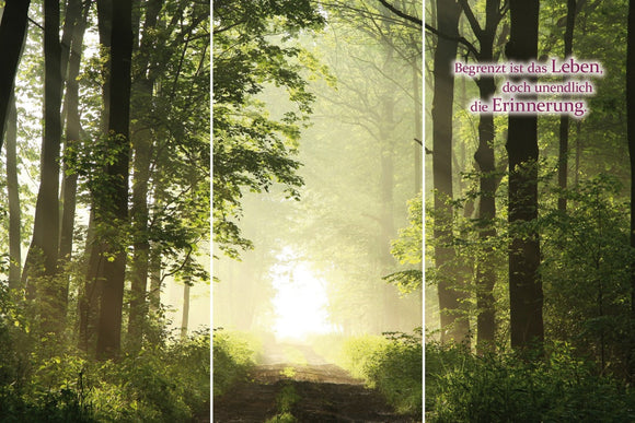 Farewell Print Premium Roll-Up 100 TRIO