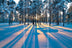 Winterwald TRIO
