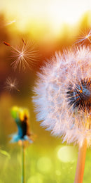 Farewell Print Premium Roll-Up 100 UNO-23