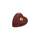 Feuer und Erde Herz Memory Bio Lehm Urne-12