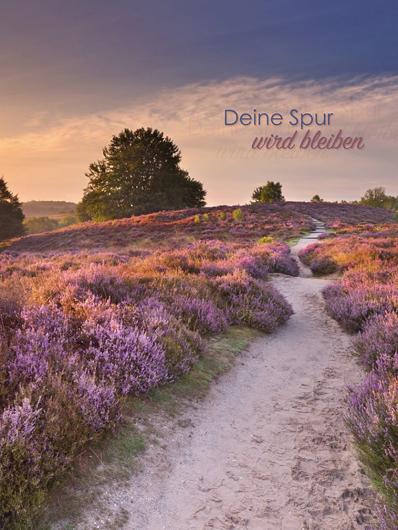 Farewell Print Premium Roll-Up 150