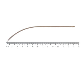 Lavabis Nadeln leicht gebogen