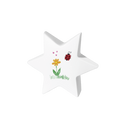 Feuer und Erde Junior Stern Bio Lehm Urne-1