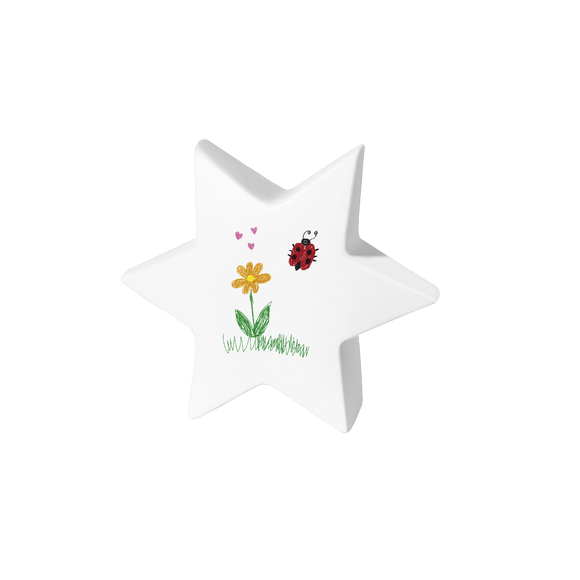 Feuer und Erde Junior Stern Bio Lehm Urne