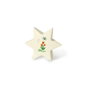 Feuer und Erde Junior Stern Memory Bio Lehm Urne-5