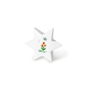 Feuer und Erde Junior Stern Memory Bio Lehm Urne-6