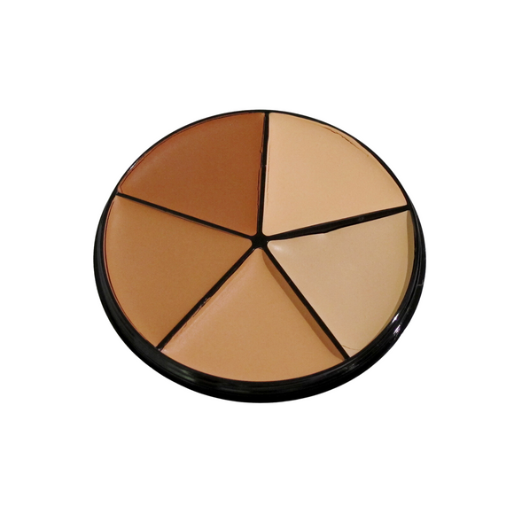 Derma Pro Camouflage Quick Fix Color Palette