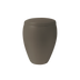 Teak