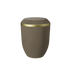 Teak Gold