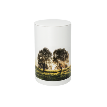 Feuer und Erde Ruhebaum Bio Lehm Urne