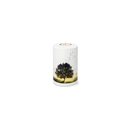 Feuer und Erde Ruhebaum Memory Bio Lehm Urne-1