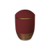 Ahorn Gold