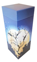 ScatterPod Medium Streuurne-2