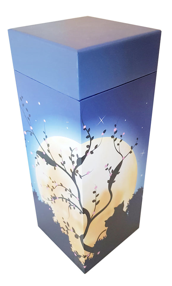 ScatterPod Medium Streuurne