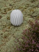 urnfold Papierurne Kaizen Seeurne-5